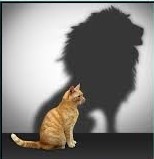 cat with shadow big as lion