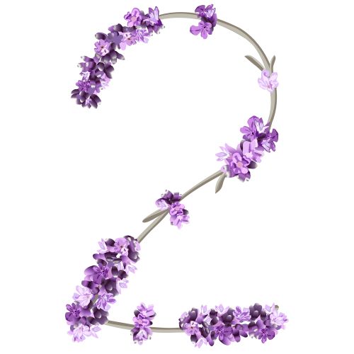 Two made of vine with tiny purple flowers on the vine